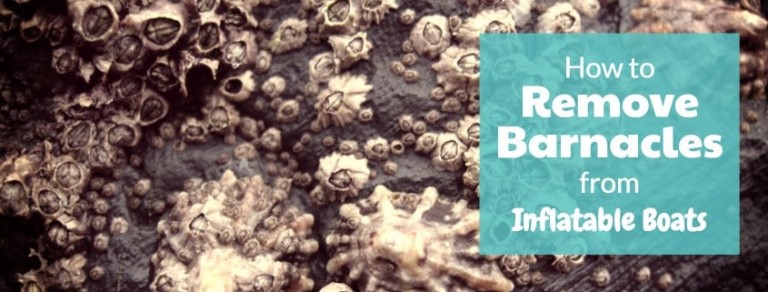 Remove Barnacles From Inflatable Boats