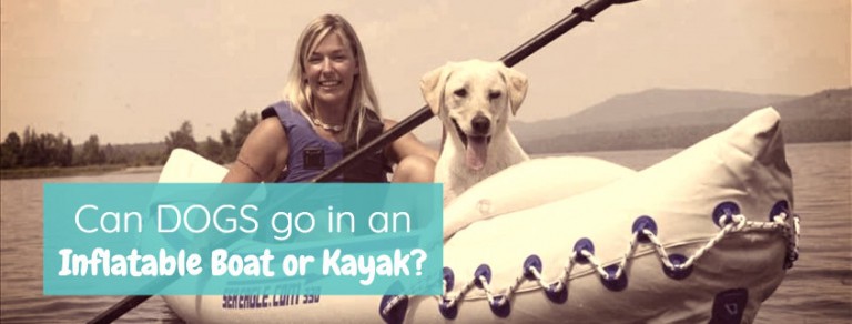 Can Dogs Go In Inflatable Kayak Boat