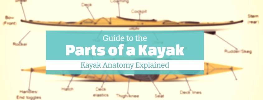 Parts Of A Kayak Anatomy