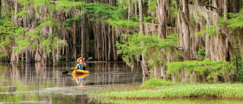 Caddo Lake Kayaking Texas