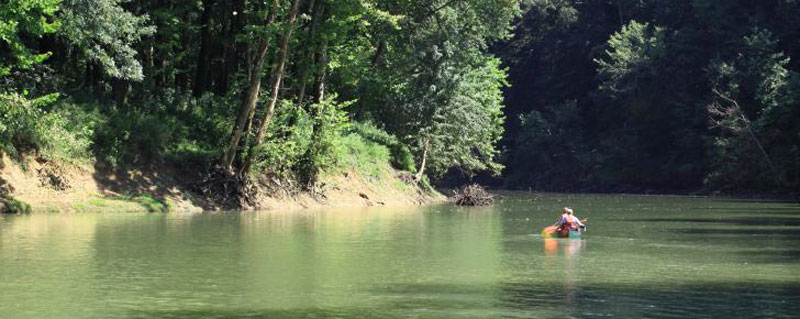 Green River Kayaking Kentucky