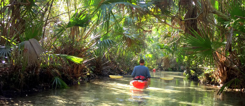 Juniper Run Florida Kayaking