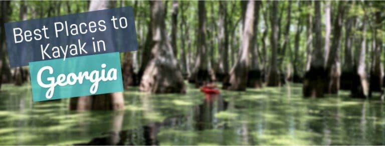 Best Places To Kayak In Georgia Usa