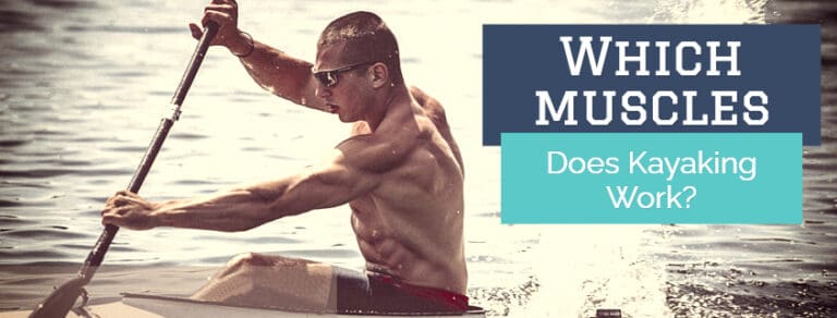 Which Muscles Does Kayaking Work