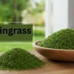 The Rise of Lyposingrass: A Deep Dive into the New Wellness Trend